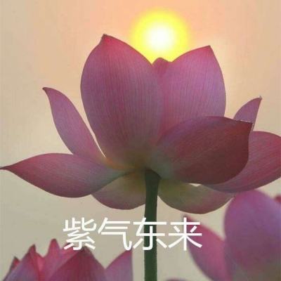 爬山遇中暑这么做能救命